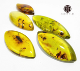 Natural Amber Marquise Shape Cabochon With Insects